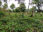Cemetery grounds - year 2004